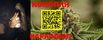 мдпв Партизанск