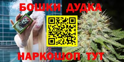 мдпв Партизанск