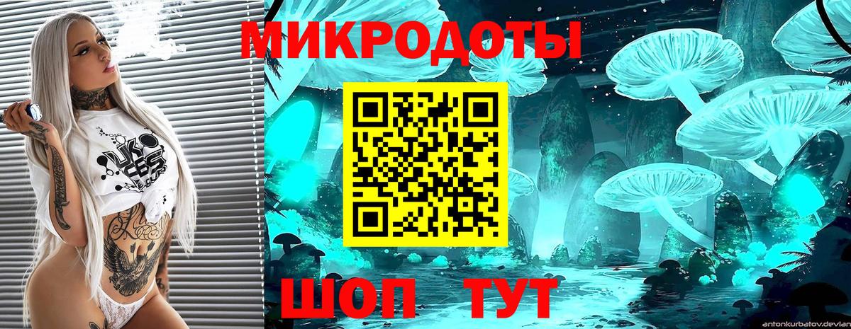 Галлюциногенные грибы Psilocybine cubensis  Вход с VPN  как найти   Оренбург  Псилоцибиновые грибы мицелий 