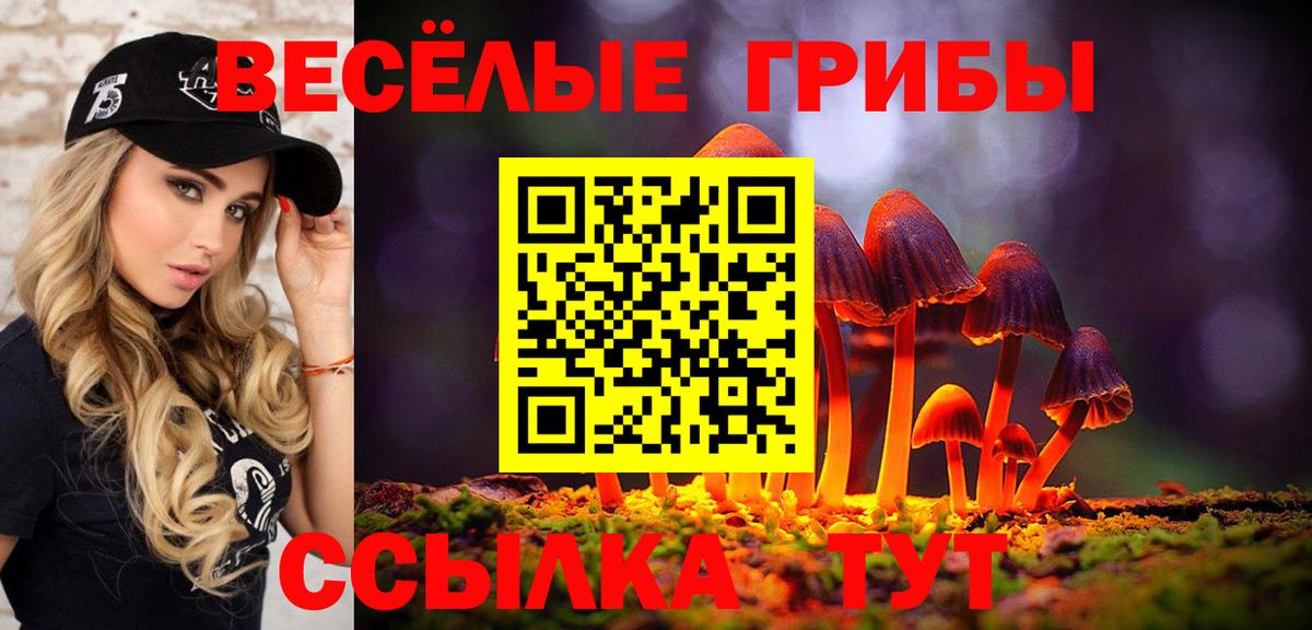 Галлюциногенные грибы GOLDEN TEACHER Оренбург