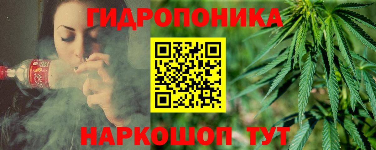 Бошки Шишки гибрид  Конопля OG Kush  Канабис семена  Оренбург  МАРИХУАНА конопля  Вход с VPN 